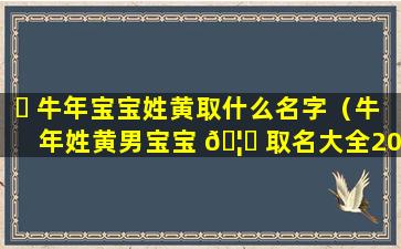 ☘ 牛年宝宝姓黄取什么名字（牛年姓黄男宝宝 🦁 取名大全2021款）